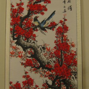 cat-2-SHbirds
